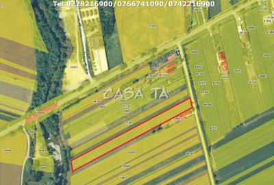 Teren Intravilan (7500 mp),situat in Balesti - Tamasesti - 6
