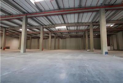 Spatiu Industrial - 1800 mp - Logistica - Productie - Depozitare - Distributie - 7