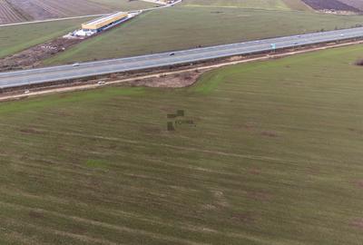 Teren Intravilan 29.777 mp – A3 – Ștefăneștii de Jos - 3