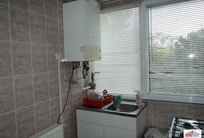 Apartament 2 camere Cismigiu - Sala Palatului - 10