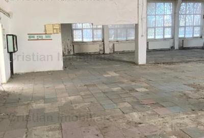 Vanzare sau inchiriere Cladire cadre beton  743 mp Movila Miresii teren 7354 mp - 4