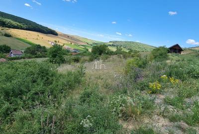 Teren 1 598 Mp De Vanzare, Panorama Superbă, Str Livezi, Sancrai - 7