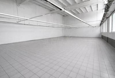 HALA PRODUCTIE/DEPOZITARE/BARIERA BUCURESTI - 5