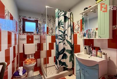 Casa individuala 4 camere, de vanzare - Sanandrei - 13