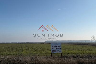 Teren Construcții intravilan de 4927 mp, în Dărmănești