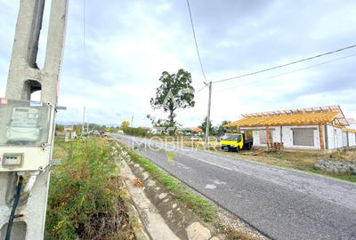 Teren de vânzare în Comuna Runcu -Bâlta - 3
