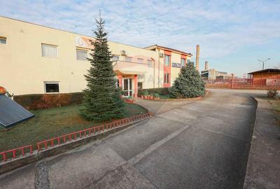Spațiu industrial 1000 mp de închiriat în zona Vest - 23