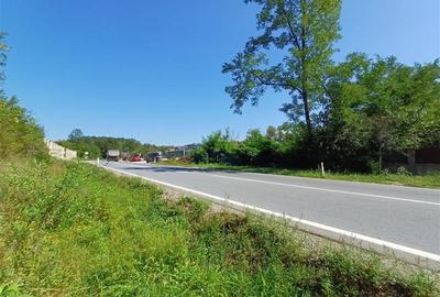 Resita, Teren Intravilan 5615 Mp., 25 Euro Mp., Calea Caransebesului, Memento - 20