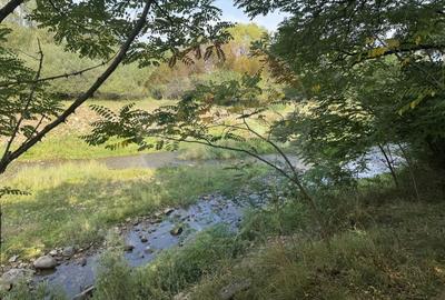 Teren 10.000 mp Calatele – Apuseni, langa rau, ideal investitie turism - 20