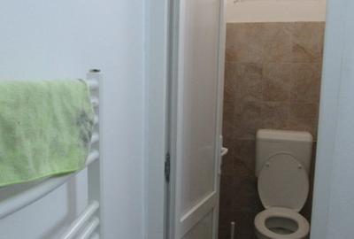 Inchiriere Spatiu Comercial Teiul Doamnei 74mp - 39