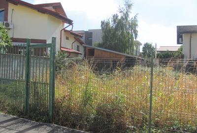 Bragadiru - Zona Haliu, Stradal - 1