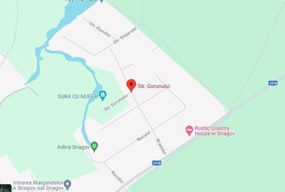 Teren 1000 Snagov - 1