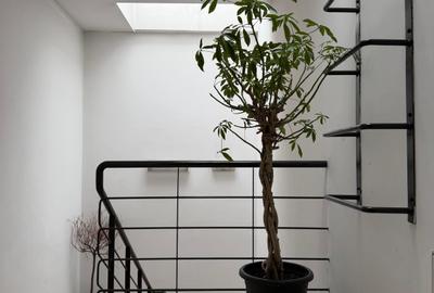 Penthouse Exclusivist / 160 MP / Parcare 1 Loc / Băneasa Studio 80 / Pădure - 30