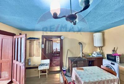 Casa cu 2 camere si teren 4887mp de vanzare in Dabaca - 10