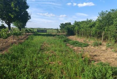 VANZARE CASA INDIVIDUALA - 27