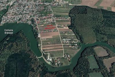 Vanzare Vila Premium noua langa lac si padure Branesti - 10
