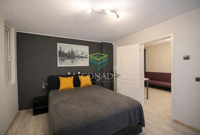 Casa la curte zona Timpuri Noi Vitan - 42