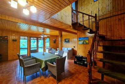 Vila + Afacere 15.000mp Clinceni - 11