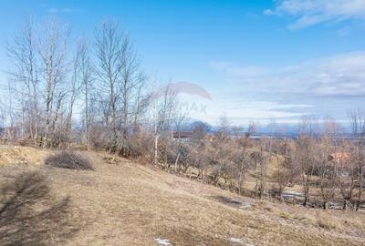 Comision 0%| Teren intravilan Sohodol 2495 mp| Apa si curent - 9