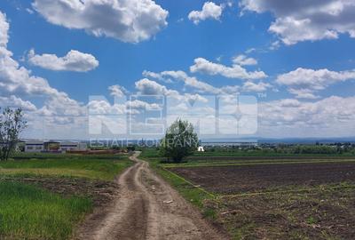 Teren de Vanzare 104 Ari  Stroiesti/3 Movile SuceavaI 1050E/Arul - 2