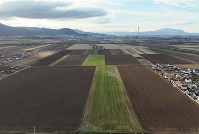 Loturi de vanzare cu PUZ, 500 mp, Izvor, Brasov - 6