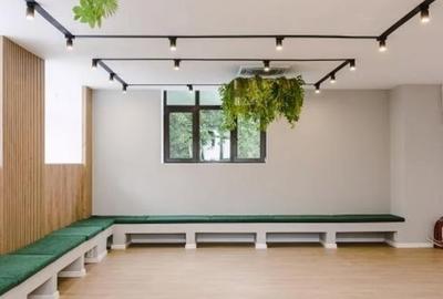 Vila pentru investiție închiriata pe termen lung cu randament Pieța Victoriei - 8