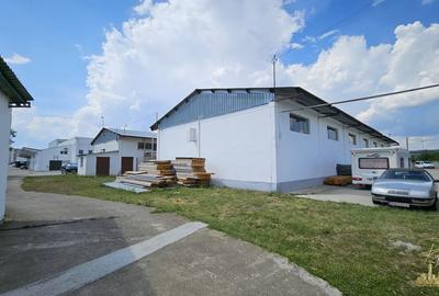 Proprietate industriala renovata | 2 hale de vanzare in zona Seleus - 8