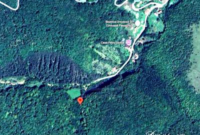OCAZIE | 5755 mp PĂDURE matura in Stolna | Utilități 200m | Front 17m la drum | - 2