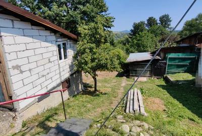 Teren 532 MP si Anexe de Vanzare * Poiana Campina* - 9