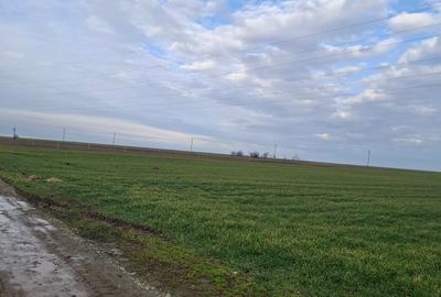 Corbu-3125mp in vatra satului,12euro/mp - 6