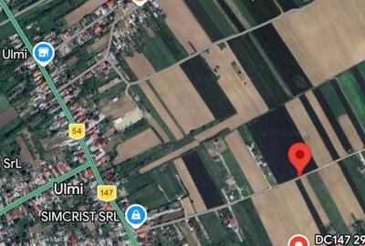 Teren intravilan case 10.000 mp, Str Sportului, Ulmi - 6