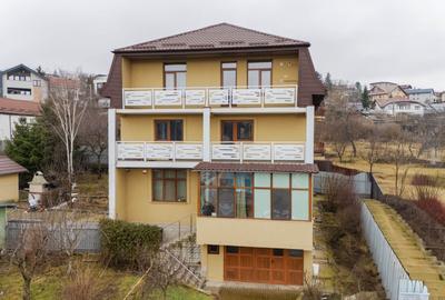 Spatiu profesional de inchiriat la casa-Iasi zona Centrala - 27
