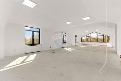Inchiriat Spațiu comercial/locuit/birouri de 410mp în zona Nord BUFTEA - 9