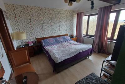Vand vila superba Faget - 8