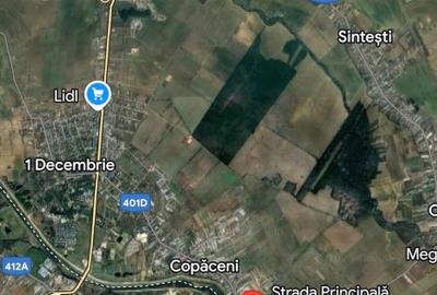 Teren intravilan de vanzare Copaceni Ilfov pentru dezvoltare rezidentiala - 9