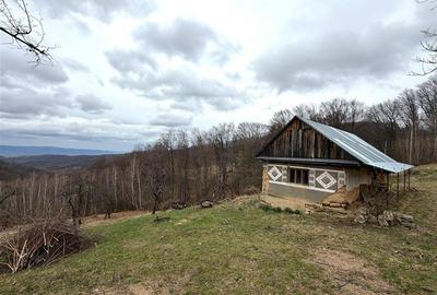 TEREN 34.000 MP | SERANI BIHOR - 1