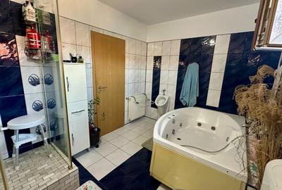 Casa individuala, 251 mp utili, 600 mp teren - Dumbrăvița - 10