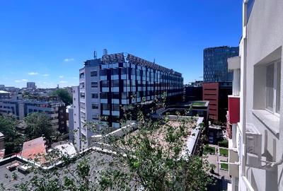 Direct proprietar ap de 2 camere 55 mp curat langa Metropolis Center/club Loft - 11