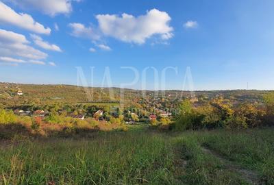Teren intravilan constructii de vanzare in Dealuri Oradea, Oradea - 2
