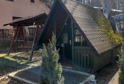 Spre vanzare cabana+ teren intravilan 1050mp pretabil casa de vacanta/locuinta - 8