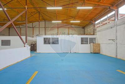 De vânzare – Proprietate industrială Săcele, zona Doina (acces DN1A) - 10