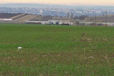 Terenuri in Rachiti - 10