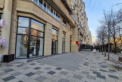 DECEBAL-- Alba Iulia 230 mp -PRET 5.000 EURO - 10