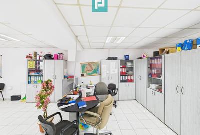 Hală de producție, cu birouri și teren, în Sebiș - 33