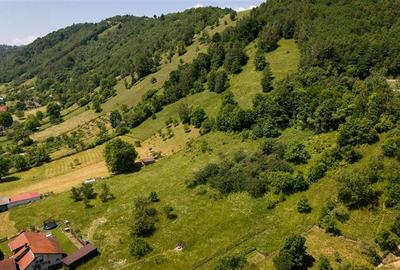 Teren 1.450 mp intravilan, la DN, cu priveliste de carte postala, Bran, Moieciu, - 7