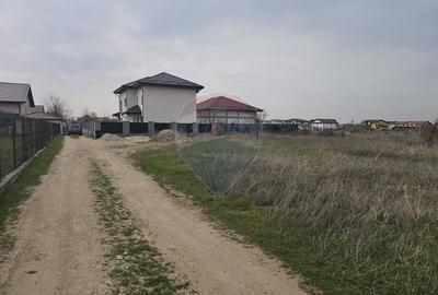 Teren de vanzare pentru casa 621mp plus drum Domnesti, str Diana - 7