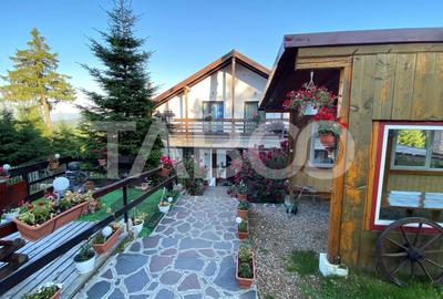 Pensiune de vanzare 10 camere 10 bai 343 mp utili Paltinis Sibiu - 1