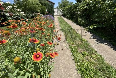 BELCIUGATELE- Casă de vacanță sau locuință permanentă - 36