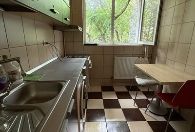 2 camere Piata Minis, etaj 2, pet friendly, pret negociabil - 4