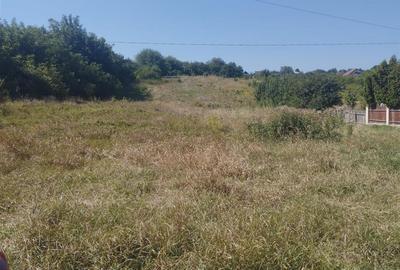 Teren intravilan Barati - 3